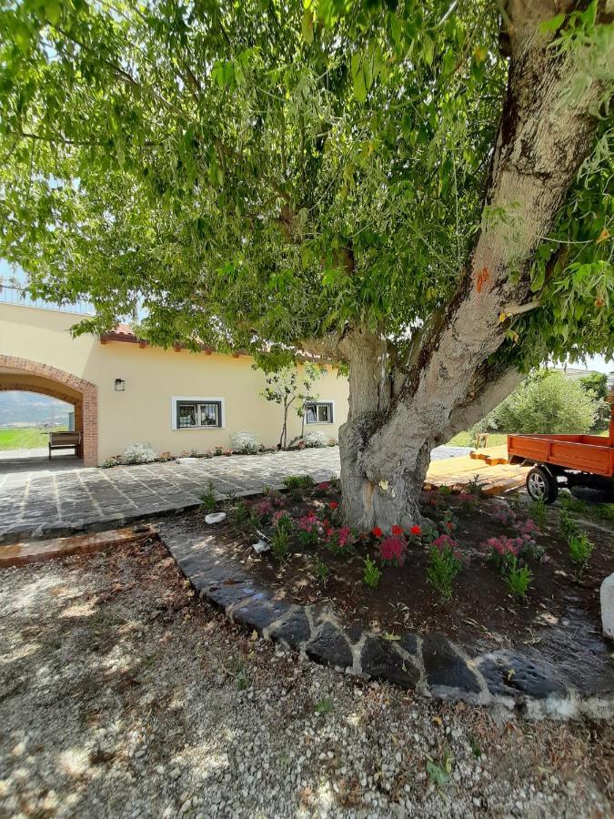 קאפאצ'יו-פאסטום B&B Tenuta San Michele מראה חיצוני תמונה